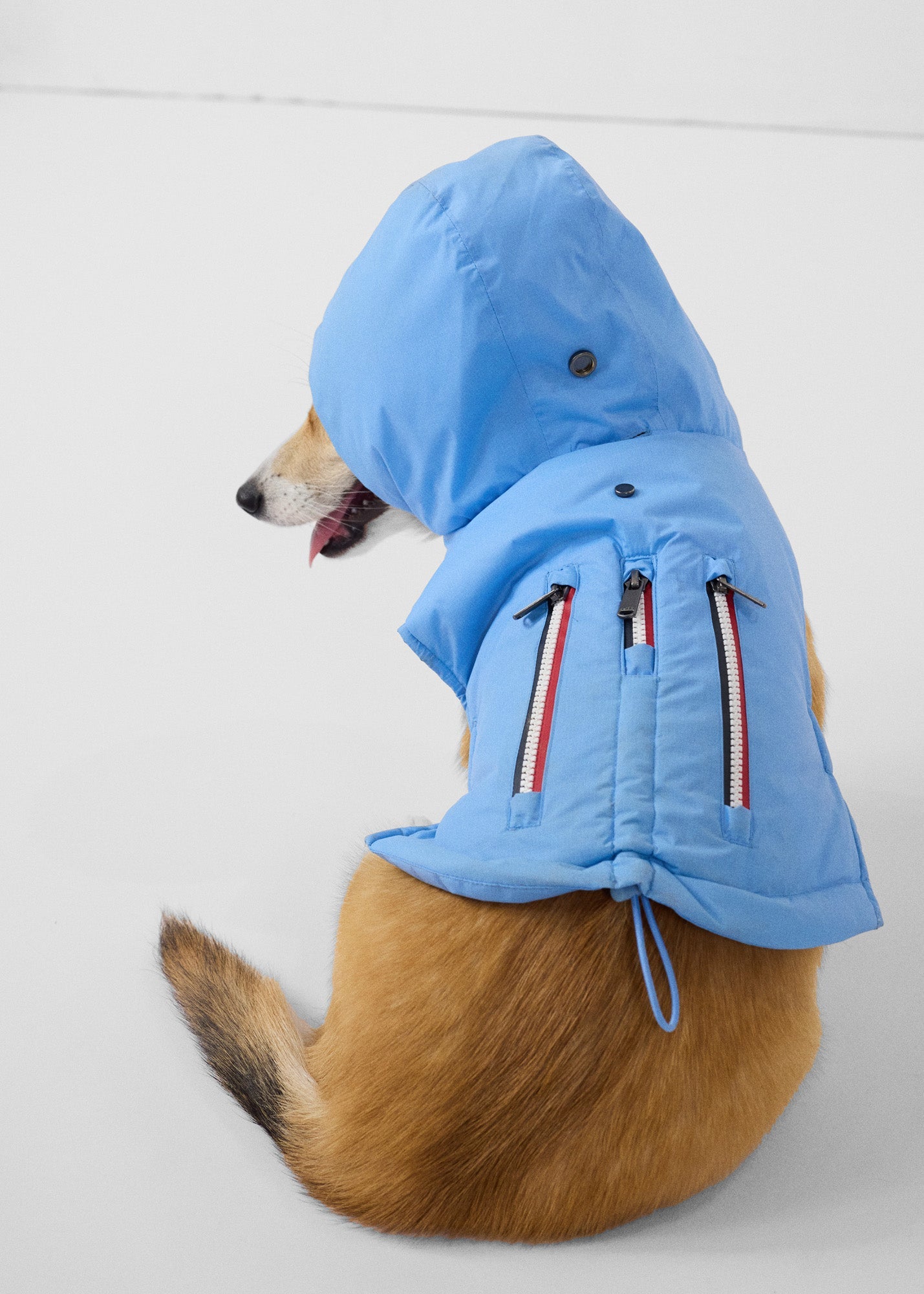 Imperméable pour chien Bleu cristal Balto