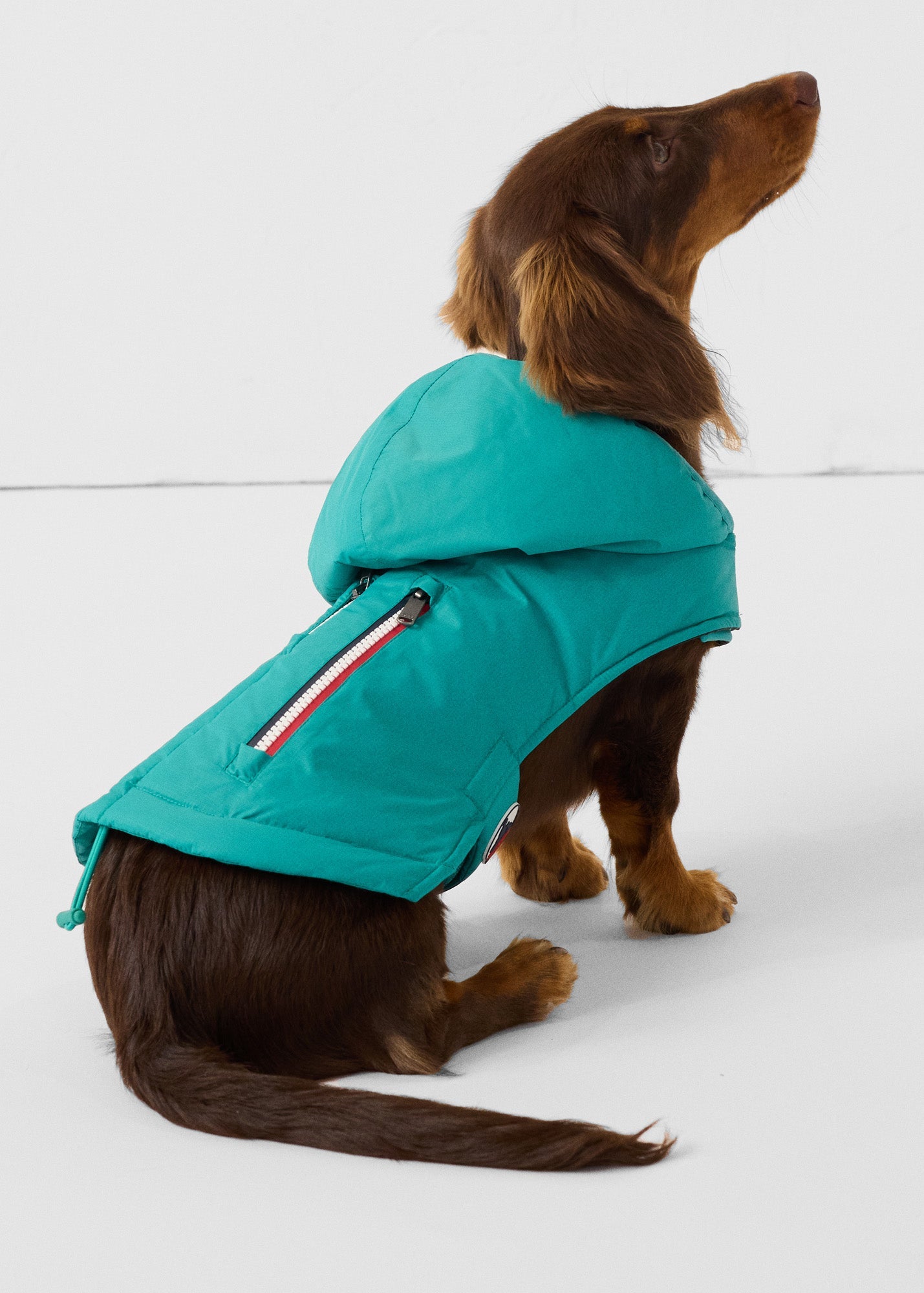 Imperméable pour chien Vert persan Balto