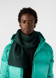 Écharpe bicolore Forêt Peech